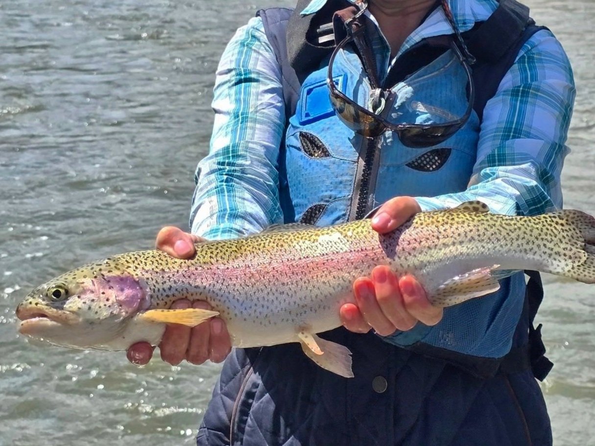 Jen33Travel%2BRoaring%2BFork%2BAnglers%2BGlenwood%2BSprings%2B%25283%2529.jpg