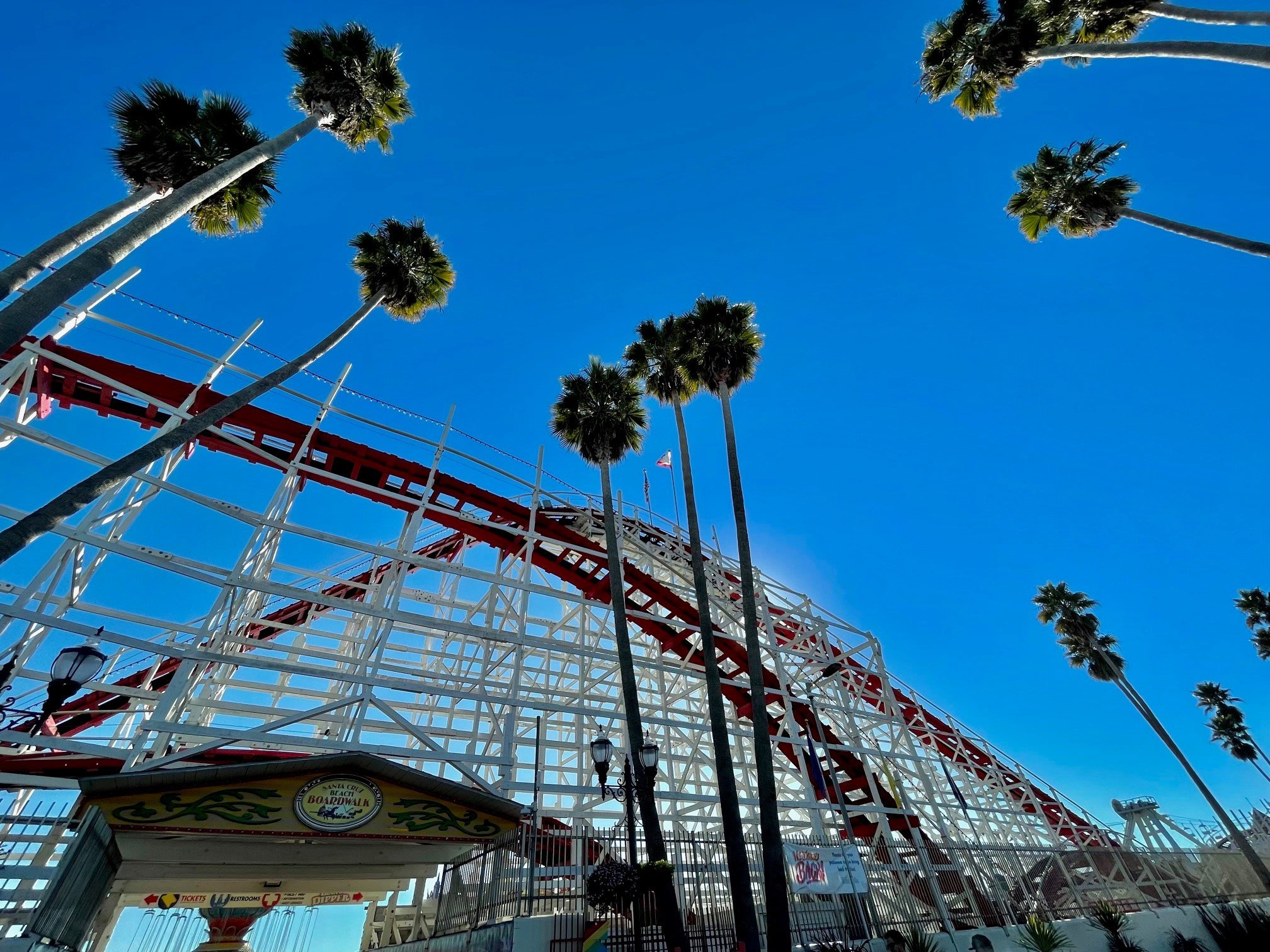 Santa Cruz JenRogers33 Giant Dipper 2.jpg