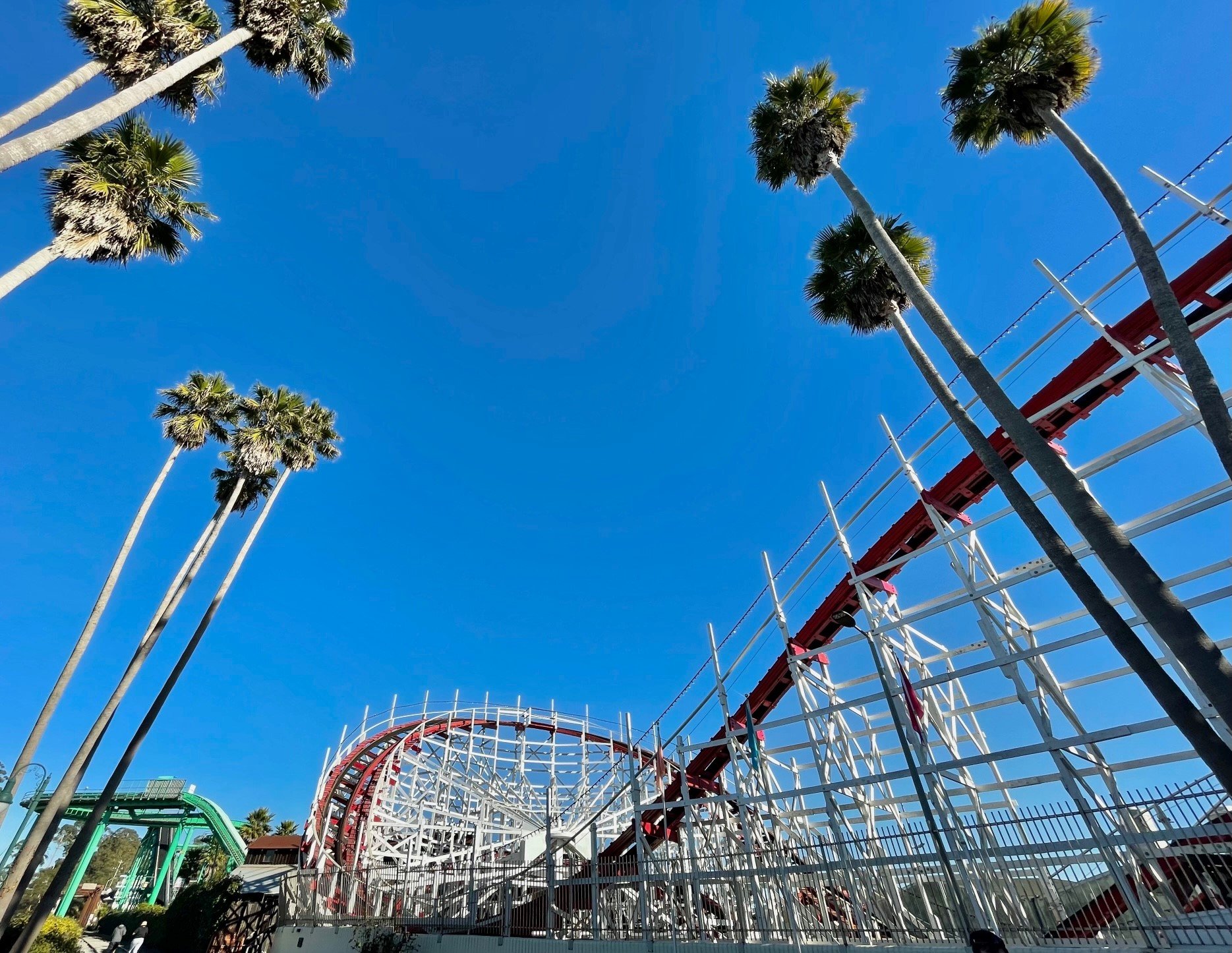 Santa Cruz JenRogers33 Rollercoasterr.jpg